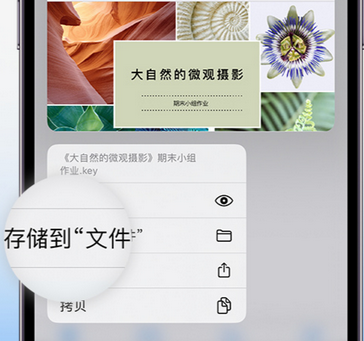 温江apple维修中心分享iPhone文件应用中存储和找到下载文件