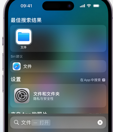 温江apple维修中心分享iPhone文件应用中存储和找到下载文件 