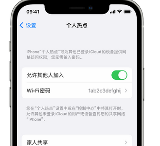 温江apple服务站点分享iPhone上个人热点丢失了怎么办 