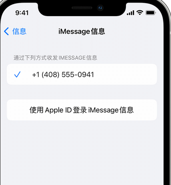 温江apple维修iPhone上无法正常发送iMessage信息 