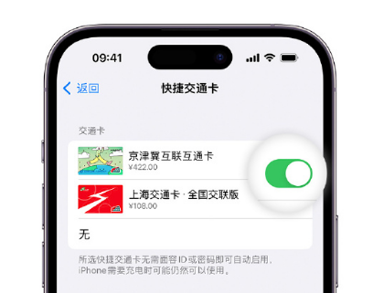 温江apple维修点分享iPhone上更换Apple Pay快捷交通卡手绘卡面 