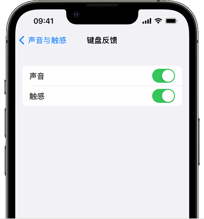 温江苹果14维修店分享如何在 iPhone 14 机型中使用触感键盘 