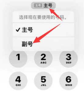 温江苹果14维修店分享iPhone 14 Pro Max使用副卡打电话的方法 