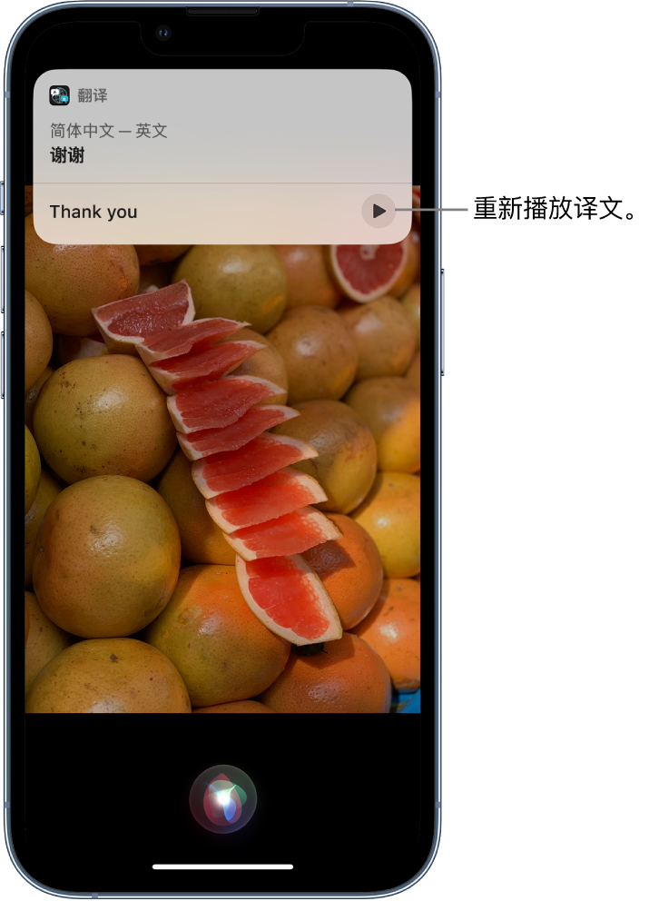 温江苹果14维修分享 iPhone 14 机型中使用 Siri：了解 Siri 能帮你做什么 