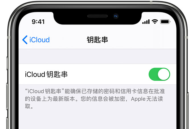 温江苹果手机维修分享在 iPhone 上开启 iCloud 钥匙串之后会储存哪些信息 