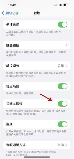 温江苹果手机维修分享iPhone手机如何设置摇一摇删除文字 