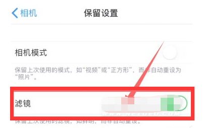 温江苹果13维修分享iPhone13拍照有绿点是怎么回事 