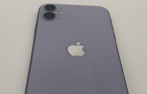 温江苹果11系统维修分享iPhone11手机系统崩溃无法开机如何解决 